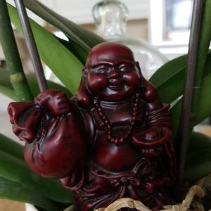 Mini budha